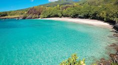 Menjelajahi Oasis Air di Missouri Pantai Terbaik di Mark Twain Lake