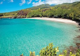 Menjelajahi Oasis Air di Missouri Pantai Terbaik di Mark Twain Lake
