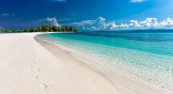 Petualangan di Pantai Blackjack Marina di Mark Twain Lake: Aktivitas Seru untuk Semua Usia