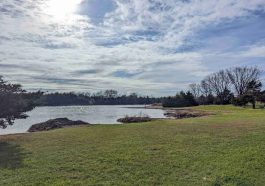 Cannon Dam Cabins & General Store A Home Base for Mark Twain Lake Adventures in Perry, MO