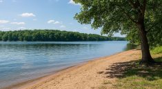 Escape the Crowds: Tranquil Beach Corners Around Mark Twain Lake You’ve Probably Missed