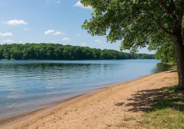 Escape the Crowds: Tranquil Beach Corners Around Mark Twain Lake You’ve Probably Missed