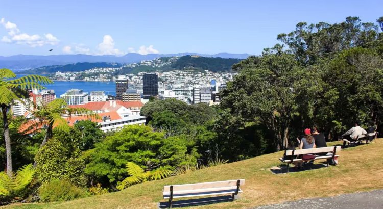 Planning a Trip to Mark Twain Lake Here Are the Best Outdoor Places to Explore Nearby