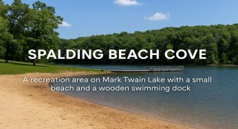 Spalding Beach Cove: A Hidden Shoreline Gem on Mark Twain Lake