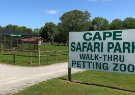 Cape Safari Park A Unique Wildlife Experience in Cape Girardeau