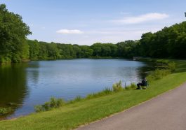 Henderson Lake Pond A Hidden Gem in Indian Creek Recreation Area