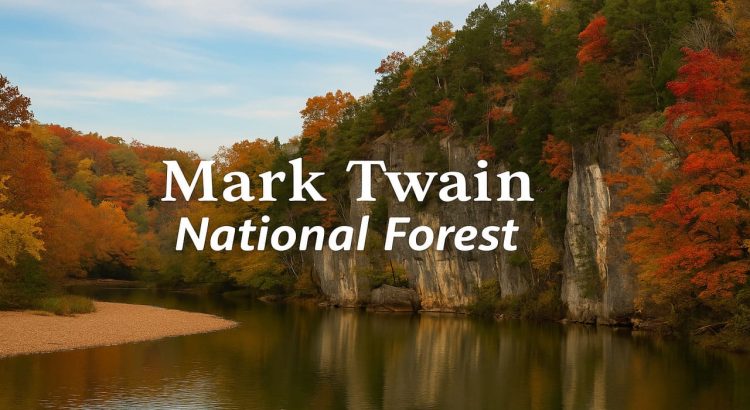 Mark Twain National Forest A Wilderness Treasure in Missouri